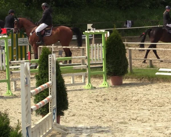 Reitturnier Laer 2021