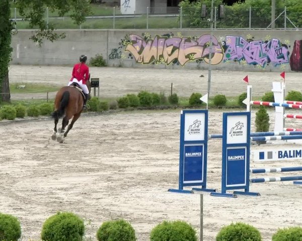 Reitturnier Basel Schänzli 2021
