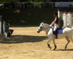 broodmare Peppy (German trotters, 1972, from Perti)