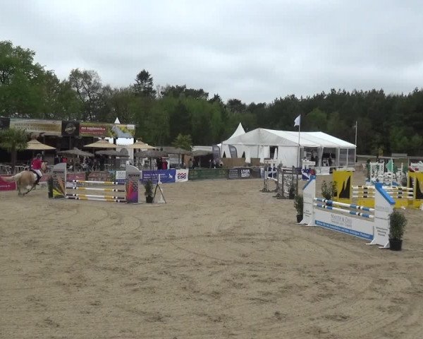 Reitturnier Rastede-Nethen 2021