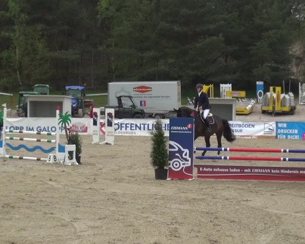 Reitturnier Rastede-Nethen 2021