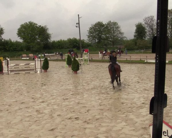 Reitturnier Laer 2021