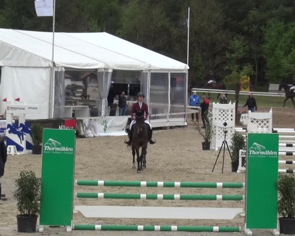 Reitturnier Rastede-Nethen 2021