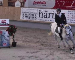 jumper Luna May (Württemberger, 2002, from Loxley)