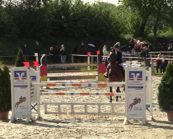 Reitturnier Laer 2021