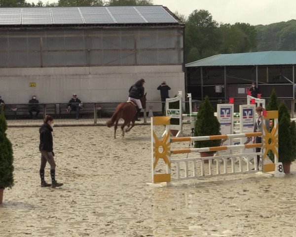 Reitturnier Laer 2021