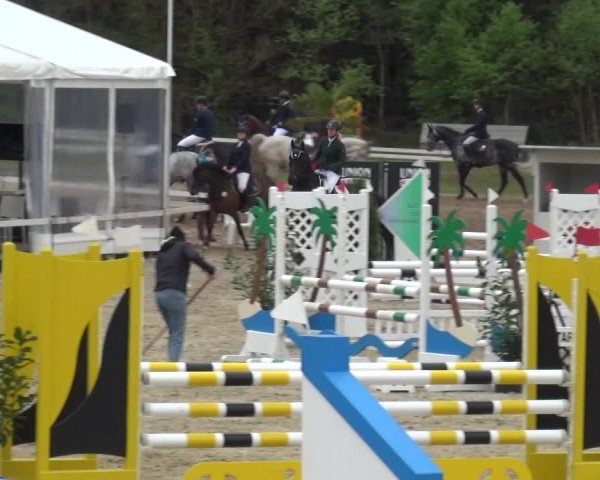 Reitturnier Rastede-Nethen 2021