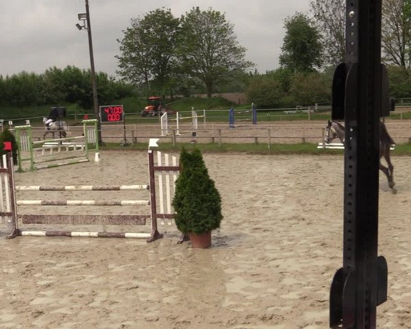 Reitturnier Laer 2021