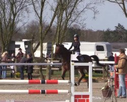 jumper Paulina 50 (unknown,  , from Perigueux M)