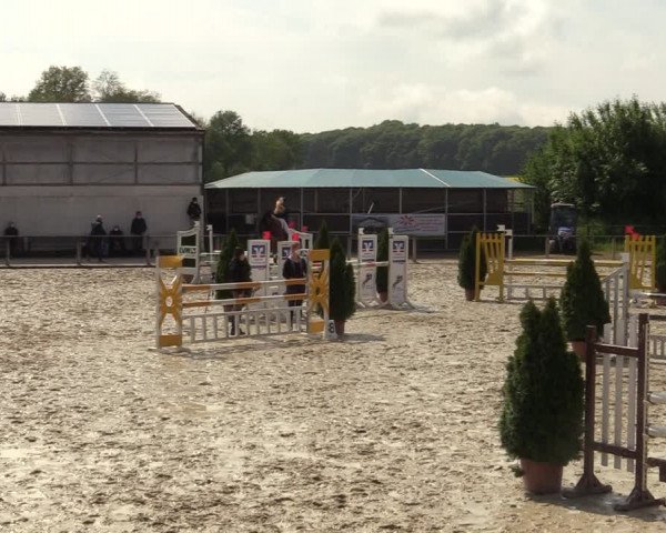 Reitturnier Laer 2021