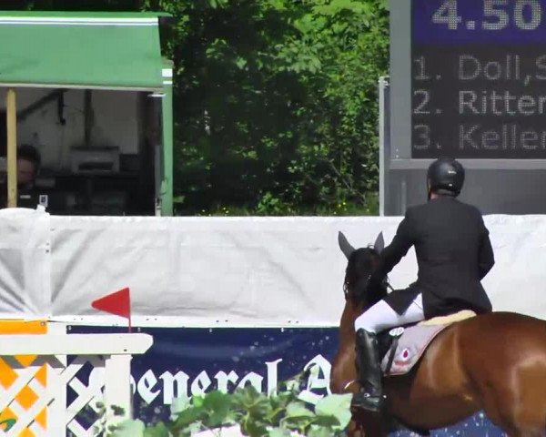 broodmare Palmira 11 (Rhinelander, 2000, from Pessoa)