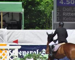 broodmare Palmira 11 (Rhinelander, 2000, from Pessoa)