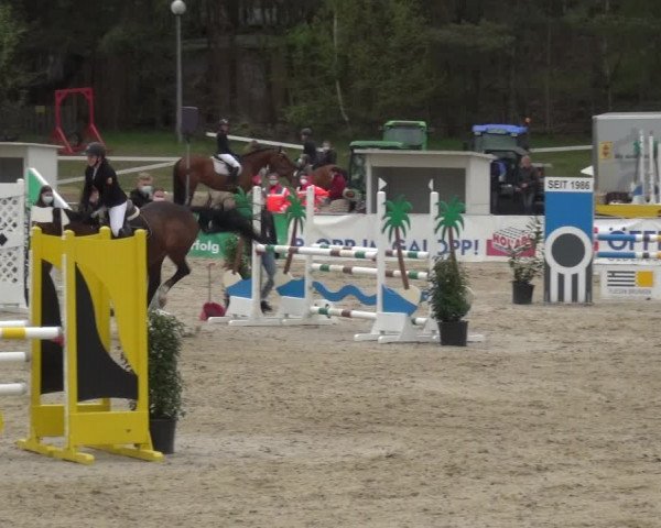 Reitturnier Rastede-Nethen 2021