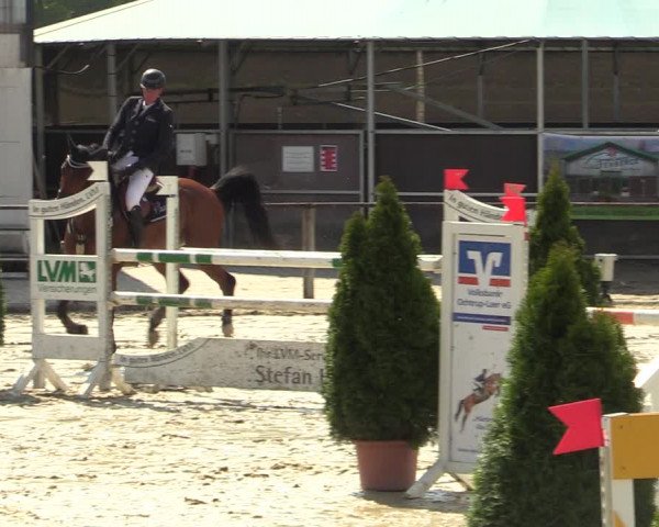 Reitturnier Laer 2021
