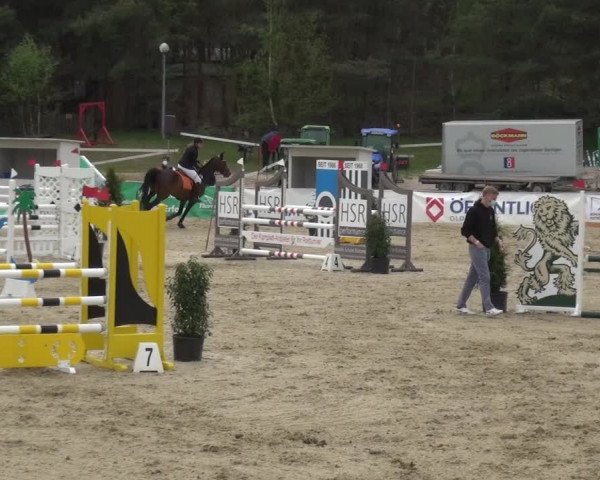 Reitturnier Rastede-Nethen 2021