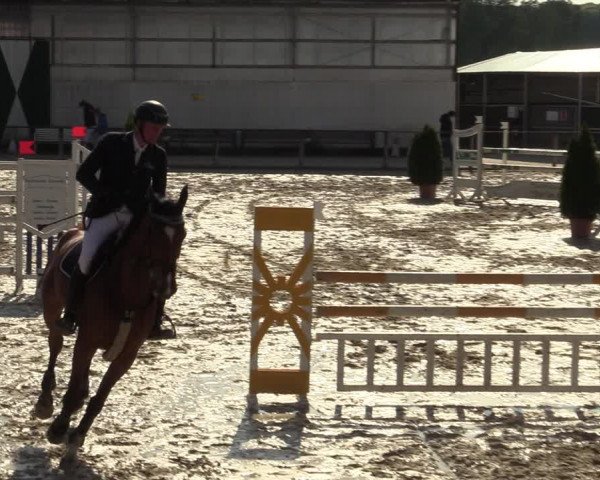 Reitturnier Laer 2021