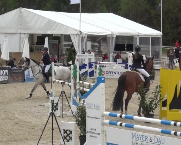Reitturnier Rastede-Nethen 2021