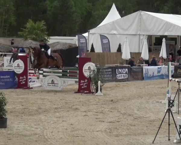 Reitturnier Rastede-Nethen 2021