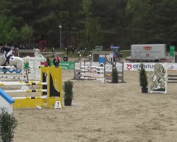 Reitturnier Rastede-Nethen 2021
