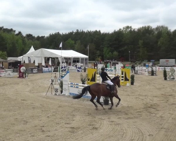 Reitturnier Rastede-Nethen 2021
