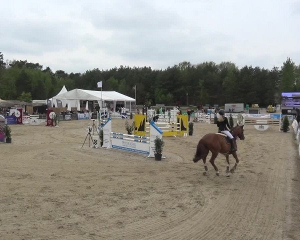 Reitturnier Rastede-Nethen 2021