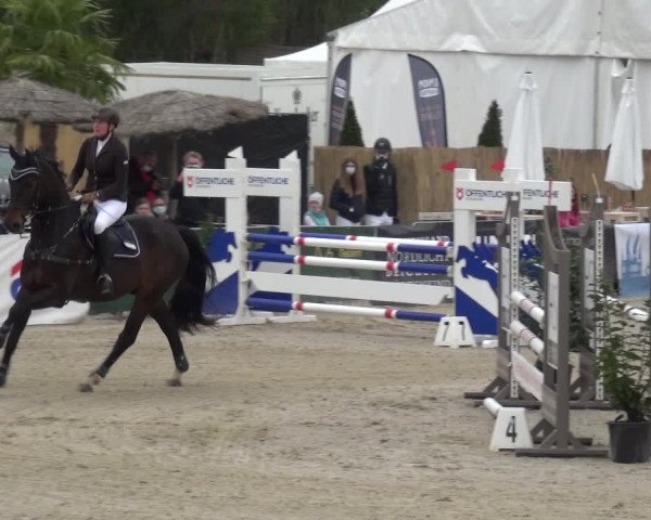 Reitturnier Rastede-Nethen 2021