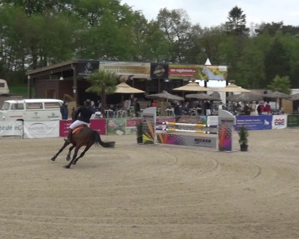 Reitturnier Rastede-Nethen 2021