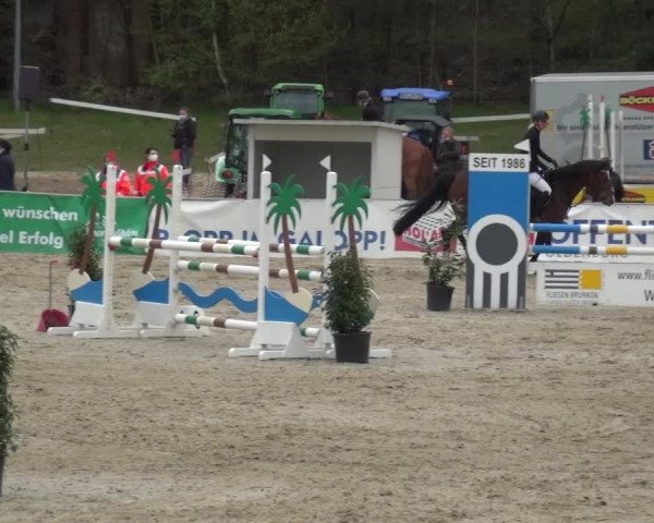 Reitturnier Rastede-Nethen 2021