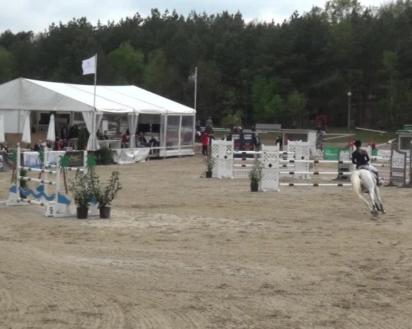 Reitturnier Rastede-Nethen 2021