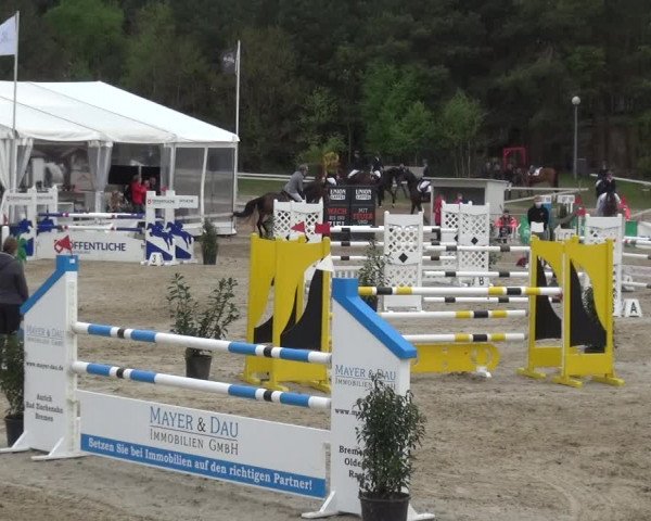 Reitturnier Rastede-Nethen 2021