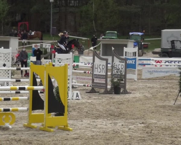 Reitturnier Rastede-Nethen 2021