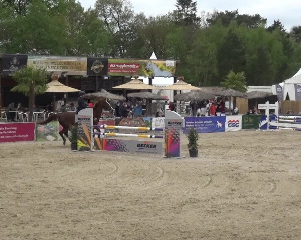 Reitturnier Rastede-Nethen 2021