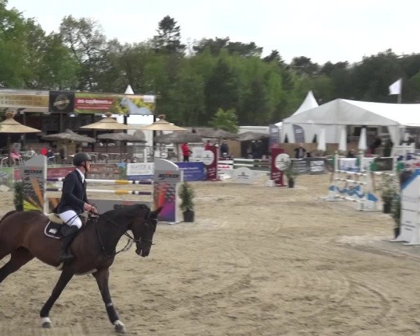 Reitturnier Rastede-Nethen 2021
