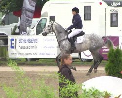 jumper Felix 1812 (Holsteiner, 2005, from Cassiano)