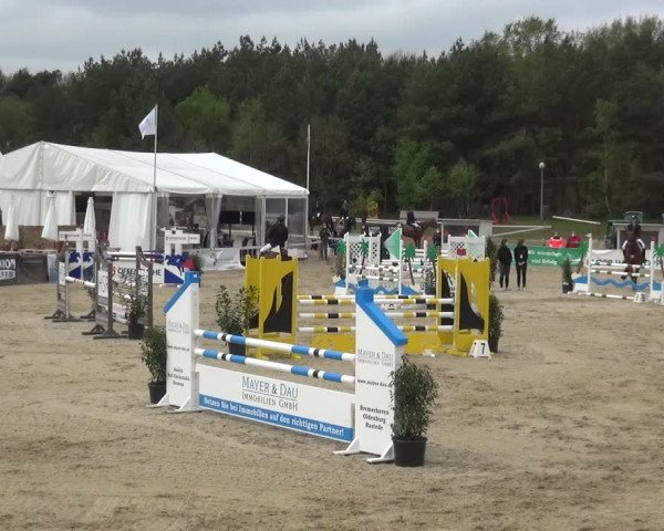 Reitturnier Rastede-Nethen 2021