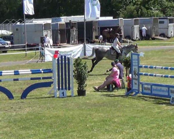 Springpferd Loriana 12 (Holsteiner, 2003, von L'Ombre)