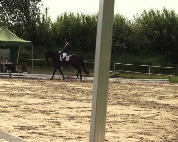 Reitturnier Laer 2021