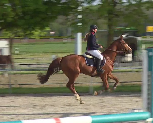 Reitturnier Rot am See- Musdorf 2021