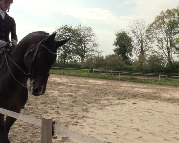 Reitturnier Laer 2021