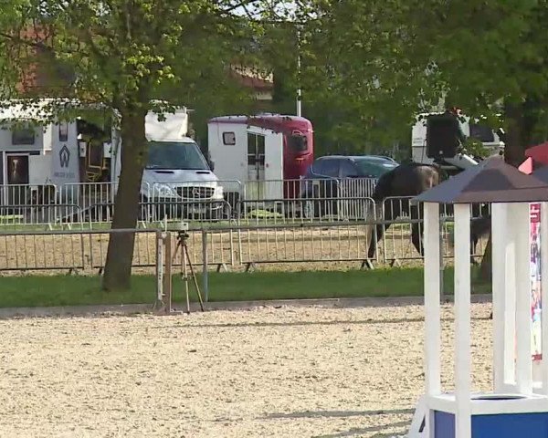 Reitturnier Rot am See- Musdorf 2021