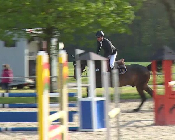 Reitturnier Rot am See- Musdorf 2021