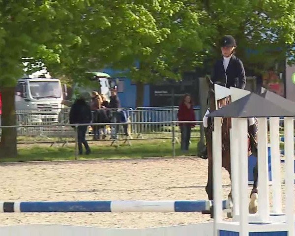 Reitturnier Rot am See- Musdorf 2021