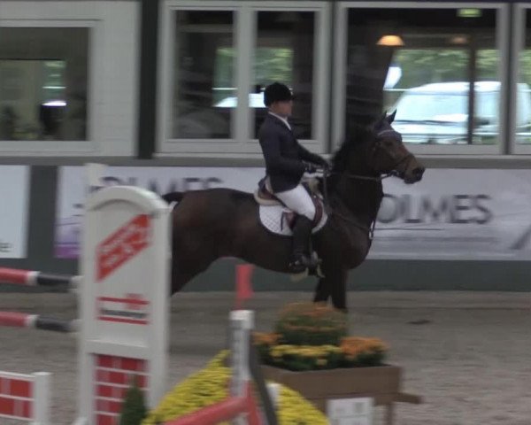 jumper Waiquiri (Oldenburg, 1999, from Wolkentanz II)