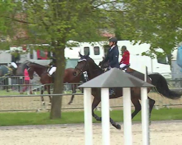 Reitturnier Rot am See- Musdorf 2021