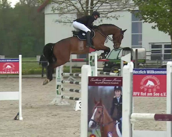 Reitturnier Rot am See- Musdorf 2021