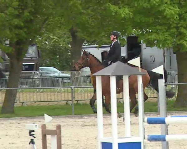 Reitturnier Rot am See- Musdorf 2021
