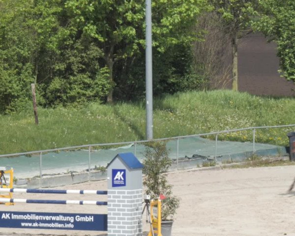 Reitturnier Harsum-Hüddessum 2021