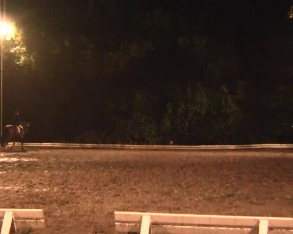 dressage horse Rubiro (Westphalian, 2000, from Rubioso N)