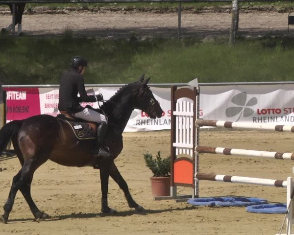 Reitturnier Kurtscheid 2021