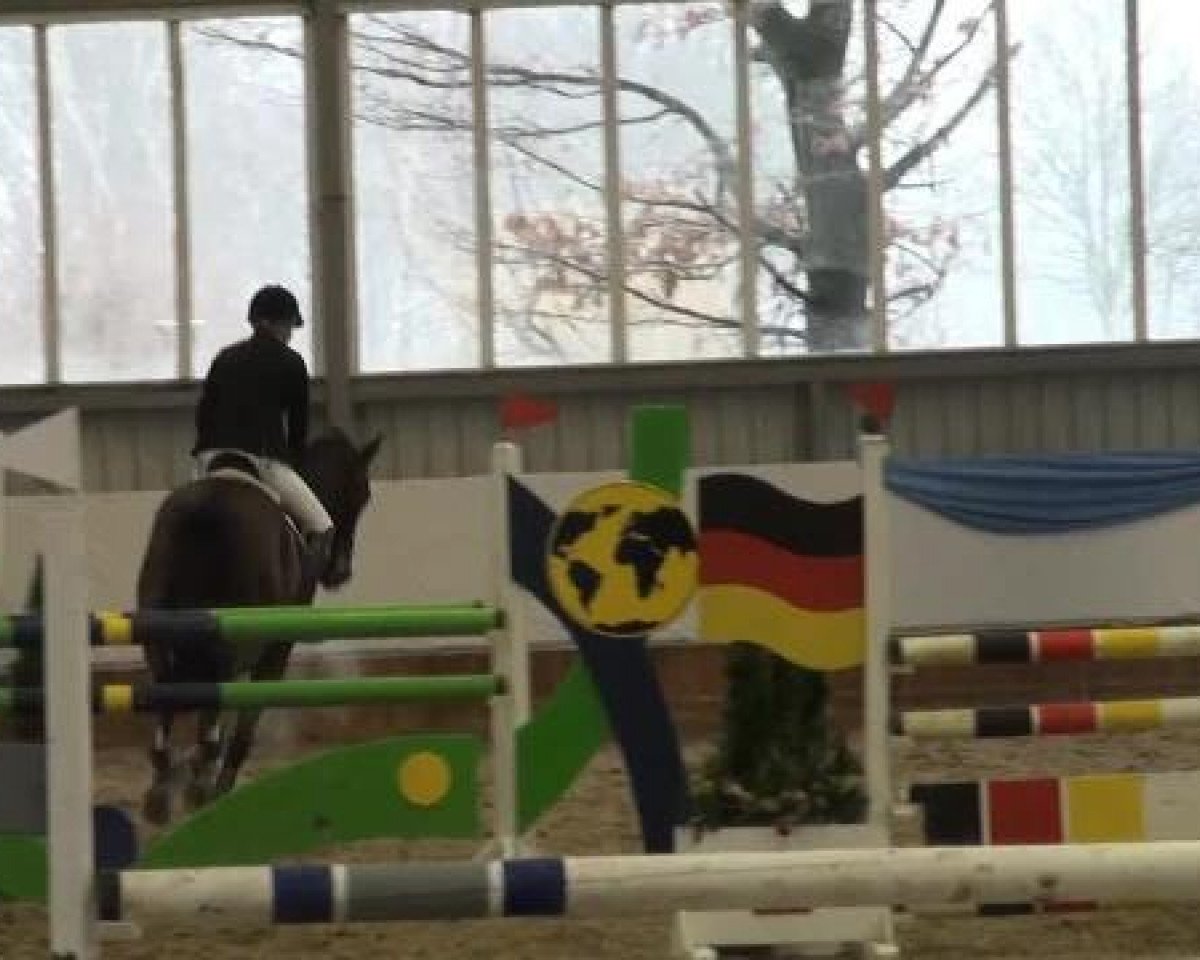 jumper Flambeau H (Westphalian, 1993, from Funke)